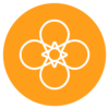 icon-fusion-1000px